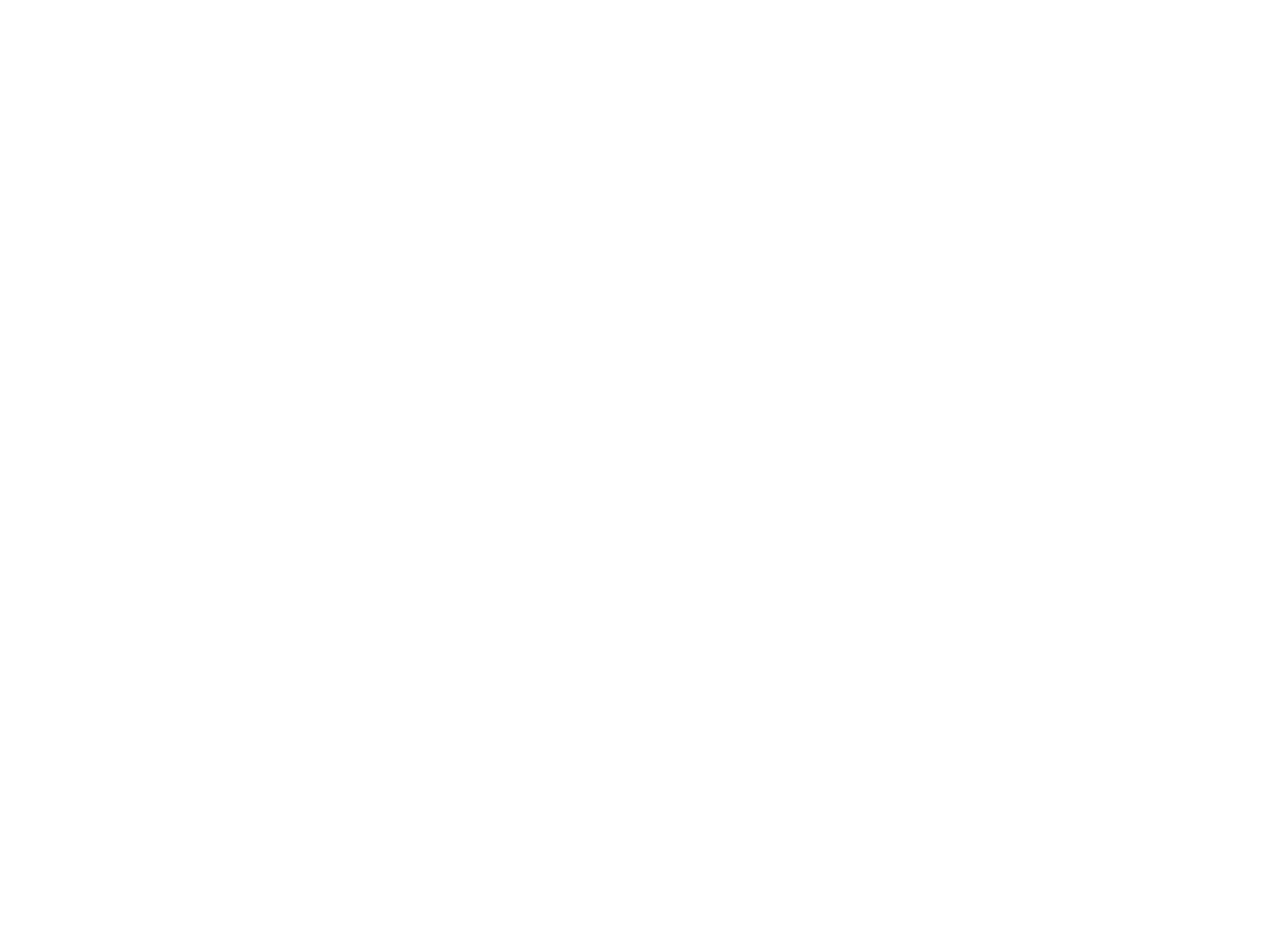 Revista 1