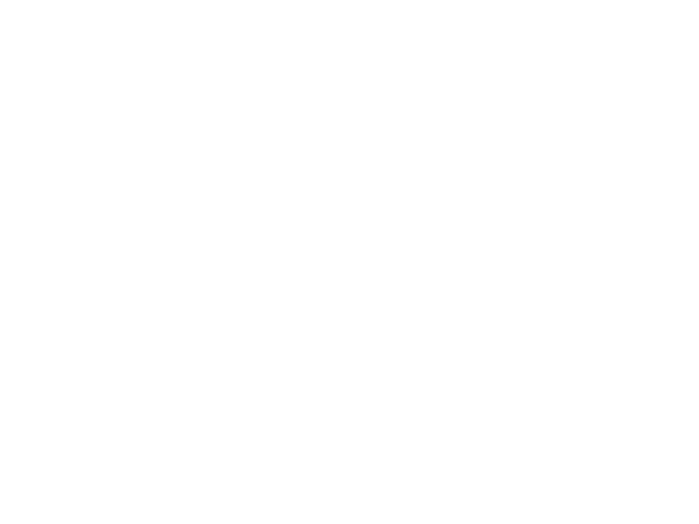 Académico 6