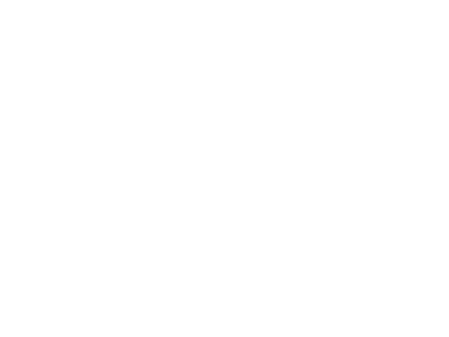 Académico 4
